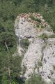 image aleatoire