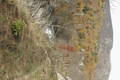 image aleatoire